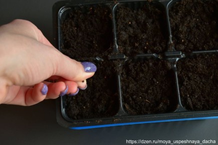 �� ����� ����� ������������: ����� �������� ������ � �����