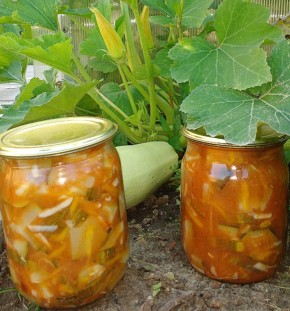 ������������ ������� �� �������� �� ����: ���������� � �� ���������