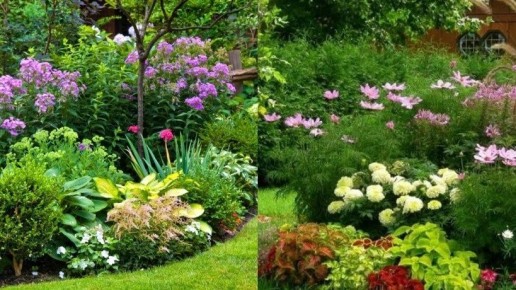 ��� ������� ��� ���� �������� �������: ��� ���� ������