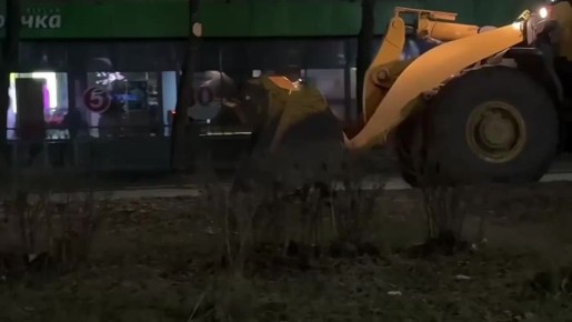 �����������: ������ ���� ����������. �������� ��������������� � ���������������� �����