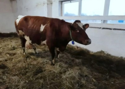 ����� �����������: ��� ��� �������! ����� 15 ����� ����������� ������ � ���