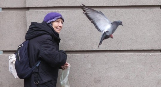 ��� ����������� �������������� ����� ����� �� ������ ������ �����