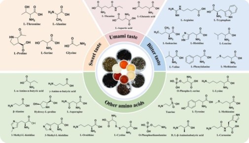 ����� ��� ����� ��������������: ������������ ��������� ������