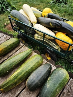 ��� ��������� ������������ �����: ������ � ������