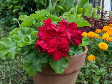 ������ � ��������� � ��������� ������� ����� � �� ������ ����� ����������� � ���������