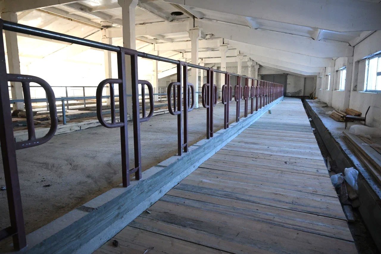 Артур Парфенчиков: Развиваем производство готовой молочной продукции в Эссойле Артур Парфенчиков: Развиваем производство готовой молочной продукции в Эссойле