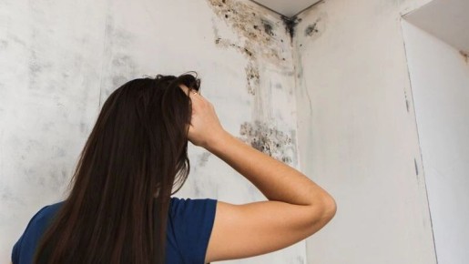 ��� ������� �������������� � ������ ����: ������� � ������ �� ������������