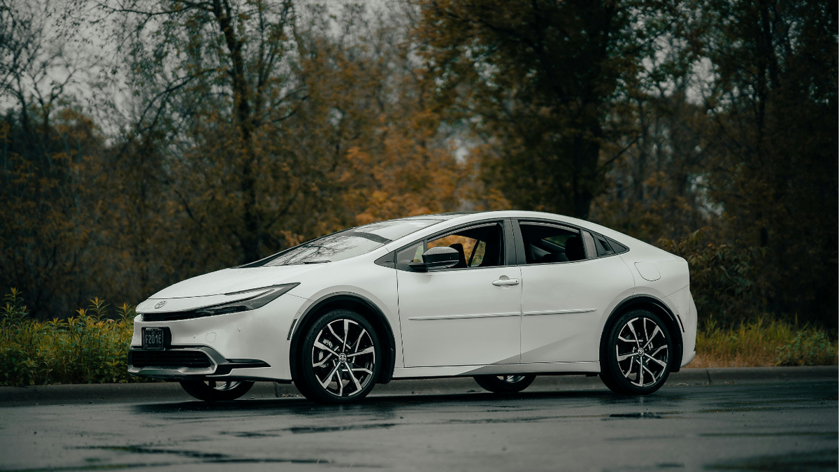 Что делать, если на вашу машину упало дерево