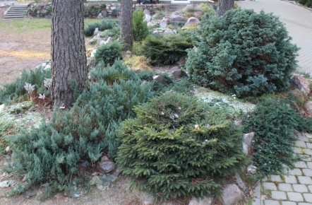 ����� ������� ����������: ��� �������� ��� ������� ���