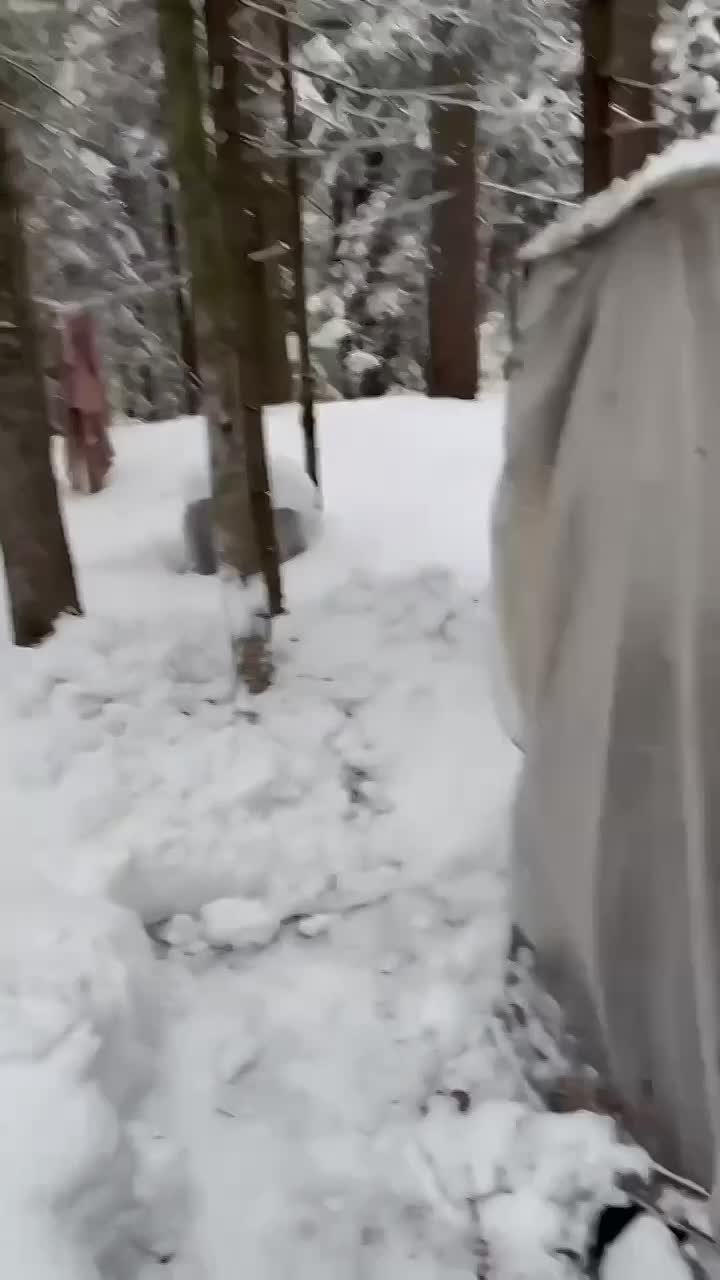 Сотрудники УФСИН и МВД Карелии задержали преступника, который 8 лет скрывался в тайге