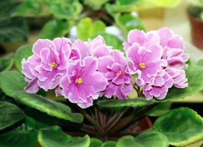 ������ � ����: ��� ������ ������ �� ������ ����������