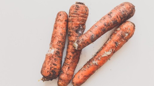 Как правильно хранить морковь, чтобы избежать гнили