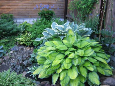 ��� ��������� �������� �����: ������ �� �����