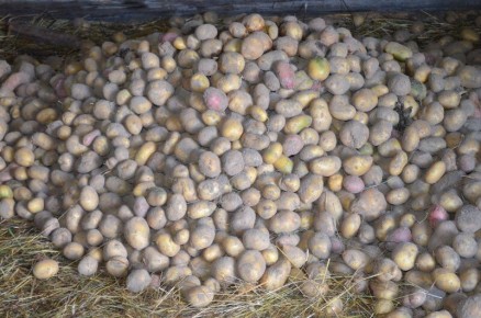 ��� ��������� �������� �� �����: ������� �������� ��������