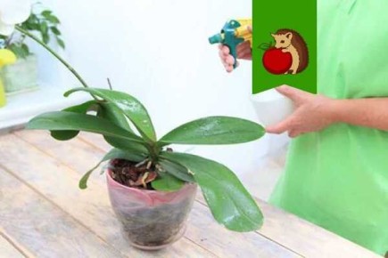 ������, ������� ����� �������� ���� �������