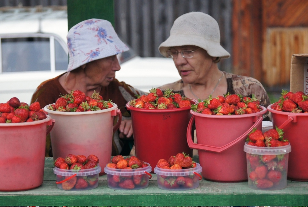 Опасные ягоды на стихийных рынках: что нужно знать