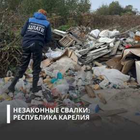 � ���������� ������� ��������������� ��������� ������������������� ������ � ���������� ���������� ����, ����������� ������