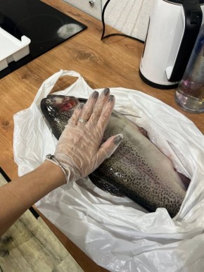 Форель на вашем столе: новые идеи для угощений