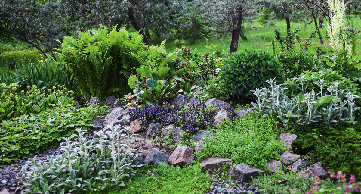 Как создать идеальный рокарий на вашем участке