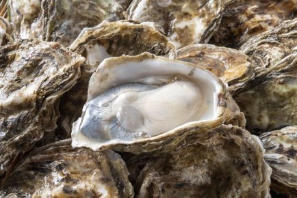 ��������� ������� ������������ ���� �� ��������: ��� ����� �����