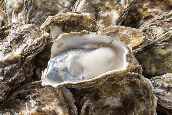 Устричный сомелье развенчивает мифы об устрицах: что стоит знать