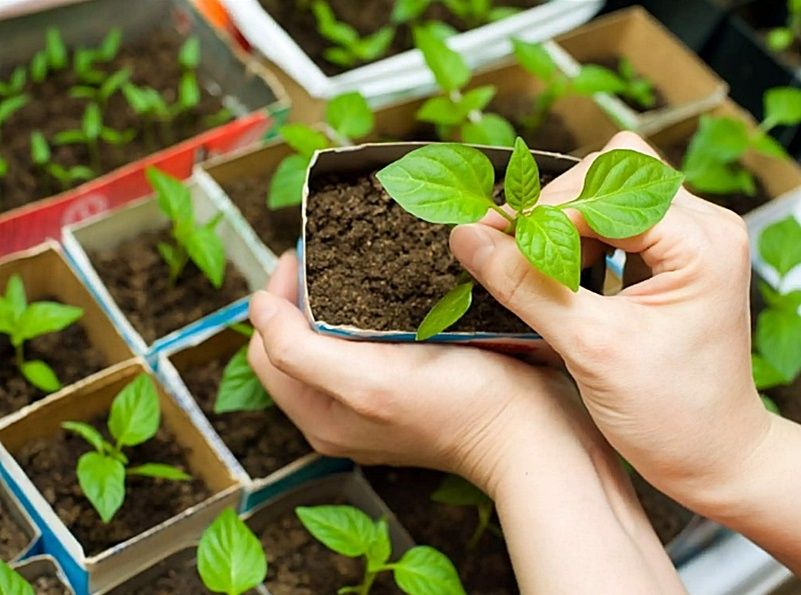 ������ ������������������ � ���������� ������� ����� ��������� ���������