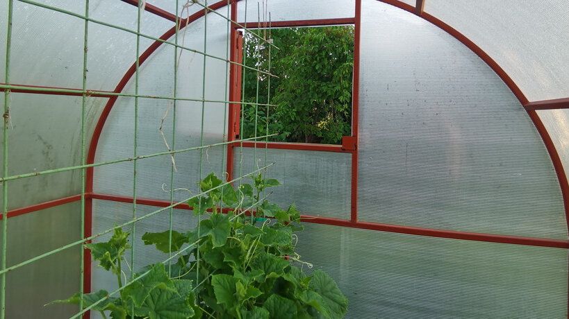 ��� ��������� ��������� ������ � �������: ���������������� ������ � ������