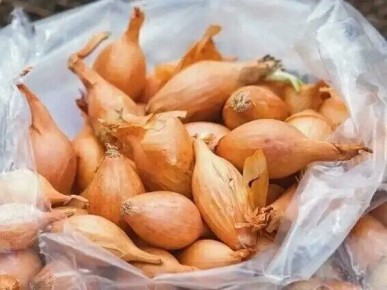 ��� ��������� ���������� ���-�����: 3 ���������������� ������ ���������