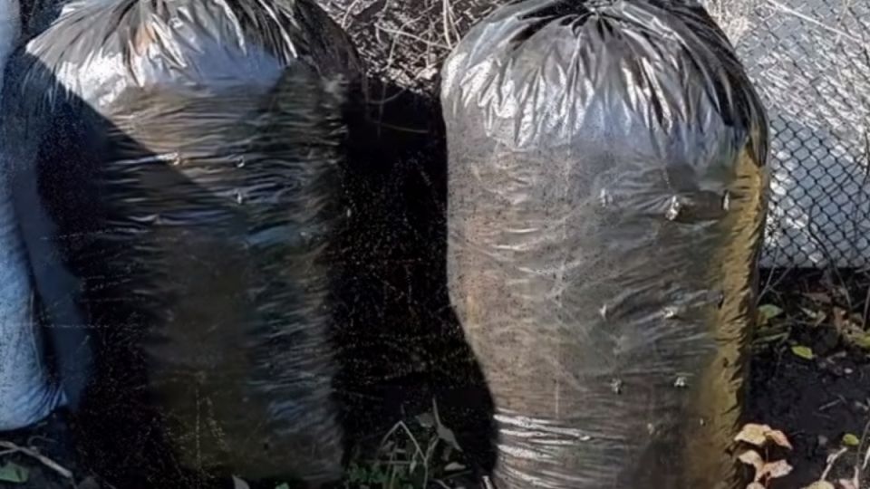 ������� � ������: ��� ������� ����������� ��������� ����� �� �������