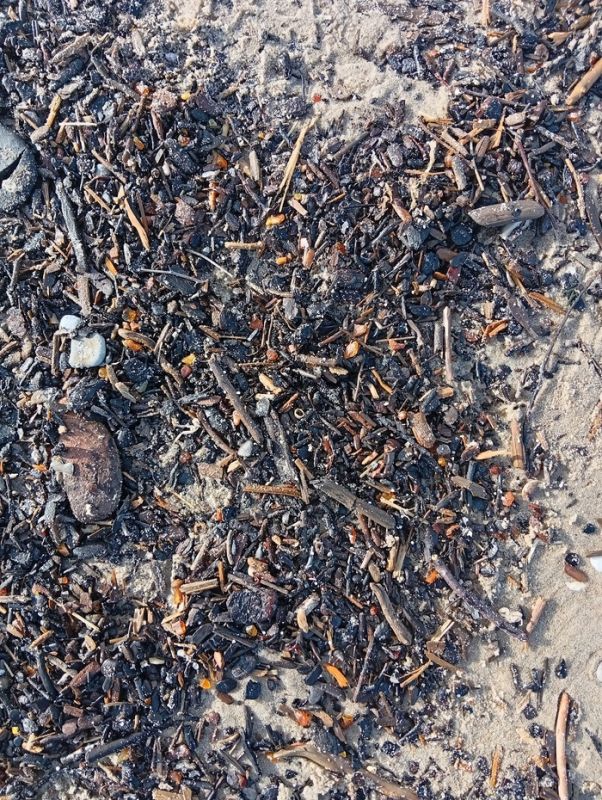 ������ ���� � ����� ����������