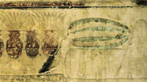 ������� ����������: �� ������� �������� �� ������������ ���������