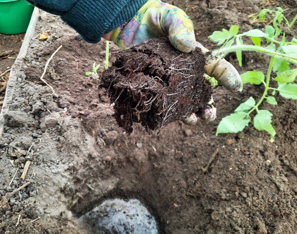 ��� ������� ��������� ��������� ��� ����� ������� � 2025 ����