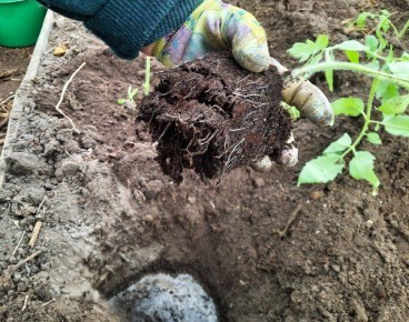 ��� ������� ��������� ��������� ��� ����� ������� � 2025 ����