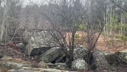 ����� �����������: � ������� ������������, ������� �������!