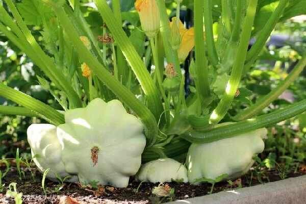 �������� �������: ��� ��������� ��������� �� ����� �������