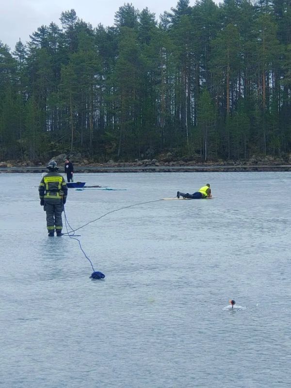 �������� ������ ������ �� ������� �� ����� �������