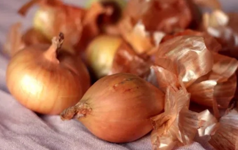 Луковая шелуха: как превратить отходы в полезные находки для дома и здоровья