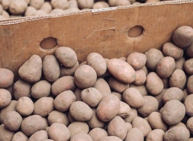 ������� ������� �������� ������: ������ �� ���������