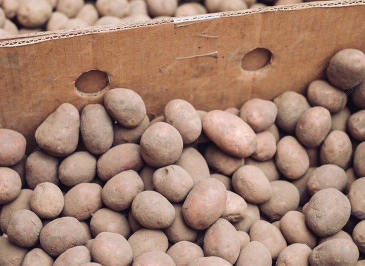 Секреты долгого хранения овощей: советы от экспертов