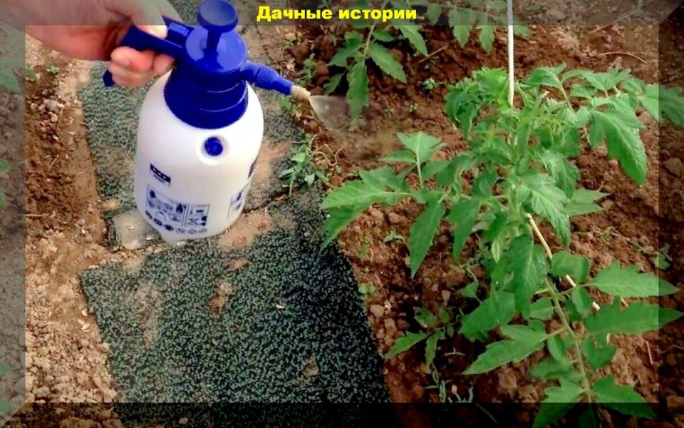 ������� ��������� �������: ��� �������� 100% �������������