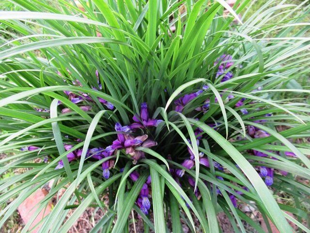 ������ � ������ ��� ��� ��������� ���� ����������� �� ������