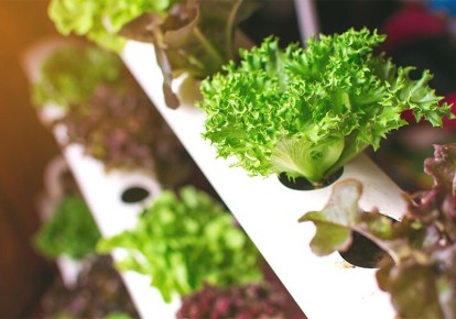 ����������� � �������� ��������: ���, ��� ����� �����