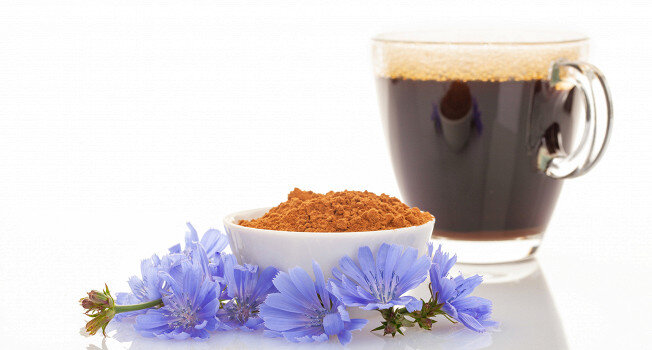 Цикорий: удивительные свойства и советы по употреблению