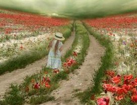 ��� ��������� ��������� ���� �����������