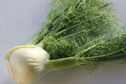 ����� ����� � ������ ������ �� ���������: ���� ������������� ����������