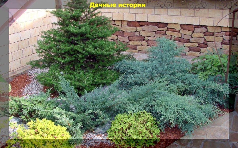 ��� ��������� �� �������� ���������� �� ������ �������: ��� ��������� ��� �������� � �������