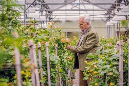 ��� ����� �����, ���������� ���, ������� �������, ������ ����, ������� �� ������ ���� ������������