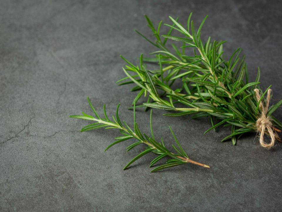 ��� ��������� �������� � ������: ������� ������� ��� ������ �������� �����