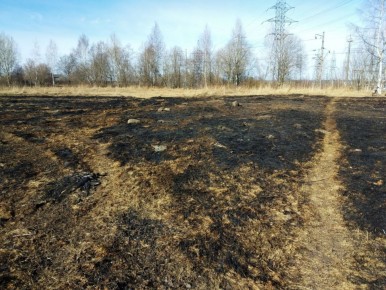 �������� ������� ����� ���� �������� �� ������� ����� �����, �������� ���������� �� ������������