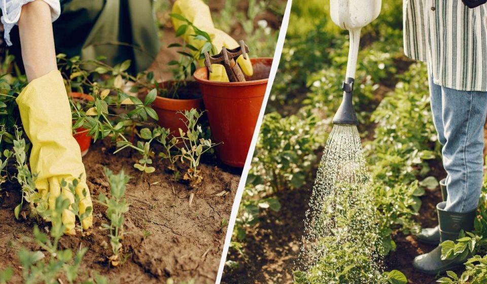 ��� ���������� ���� ��� ������: ����������� ������ ��� ���������